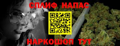 индика Гусь-Хрустальный